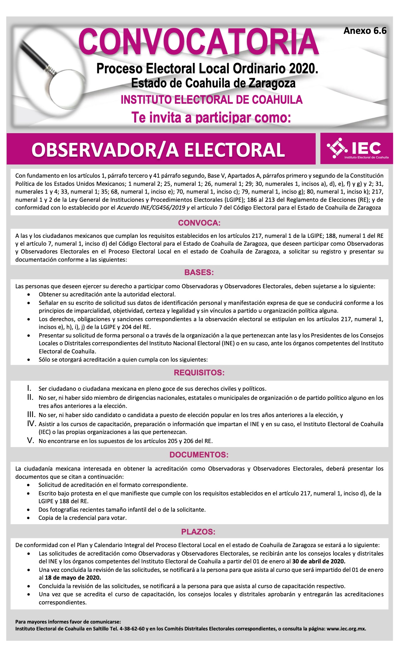 Convocatoria para observadoras es electorales PEL 2020