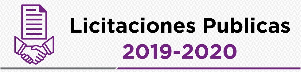 Licitaciones Publicas 2019-2020